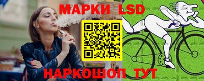 стафф Славгород
