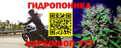 стафф Славгород