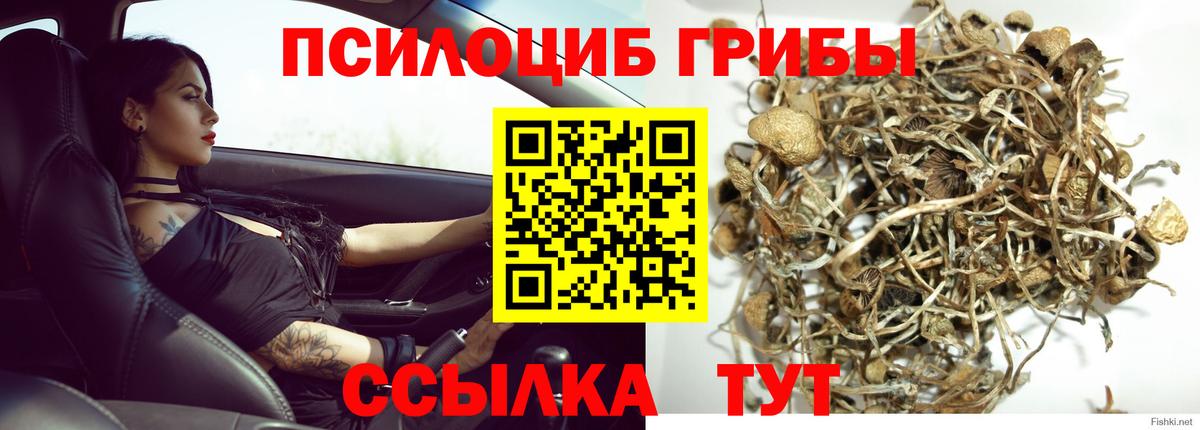 Псилоцибиновые грибы MAGIC MUSHROOMS Острогожск